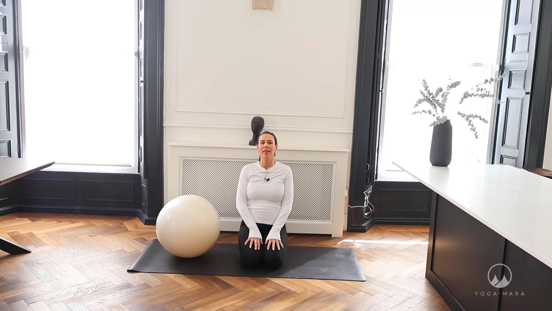 Pregnancy Pilates with Ball 