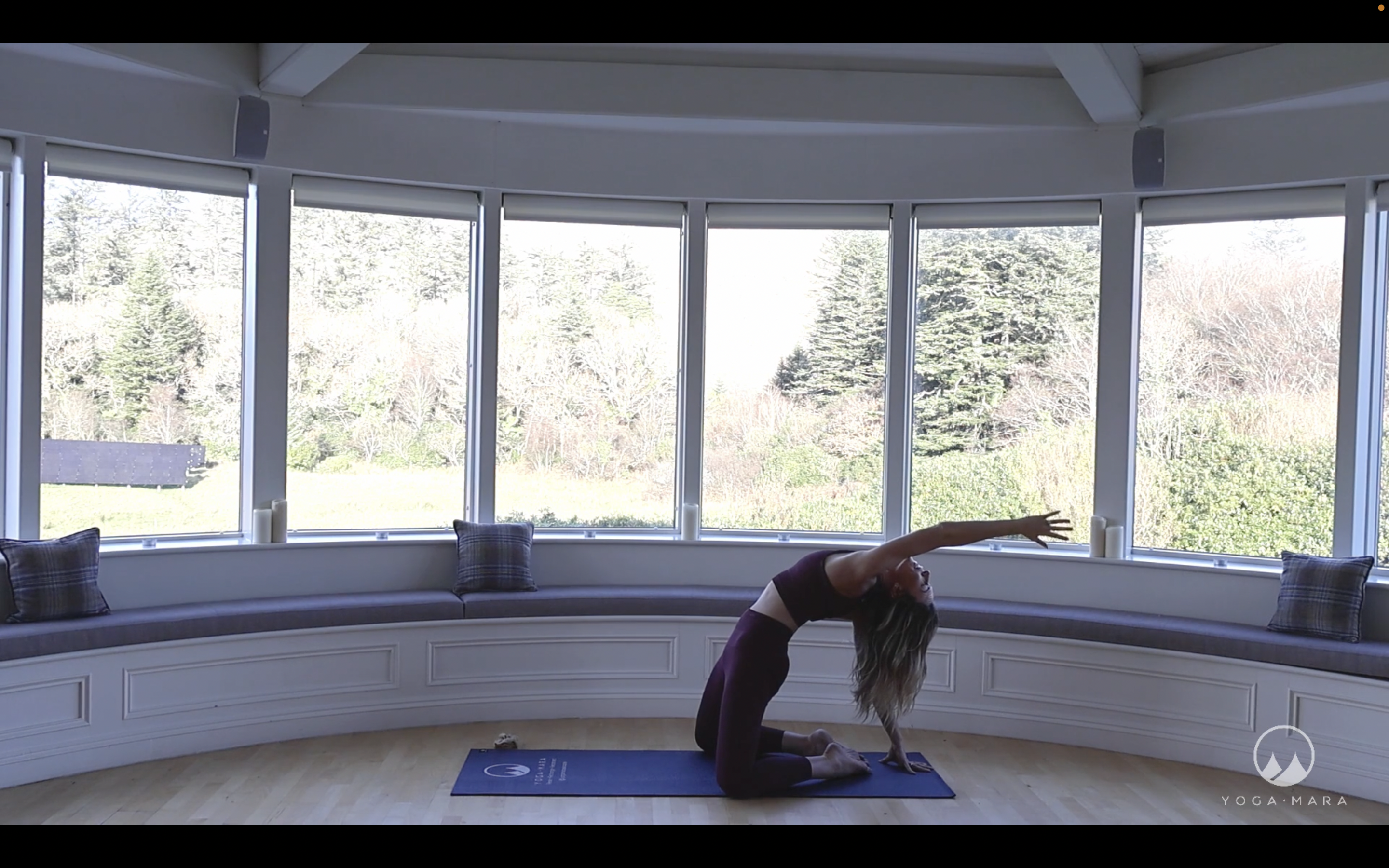 Gentle Yoga to Release Tension 