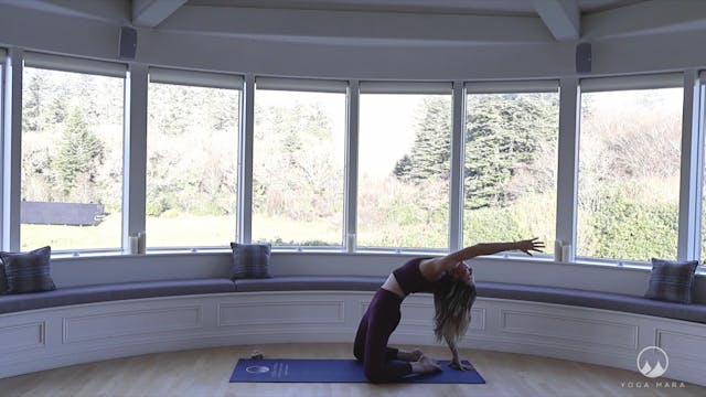 Gentle Yoga to Release Tension 