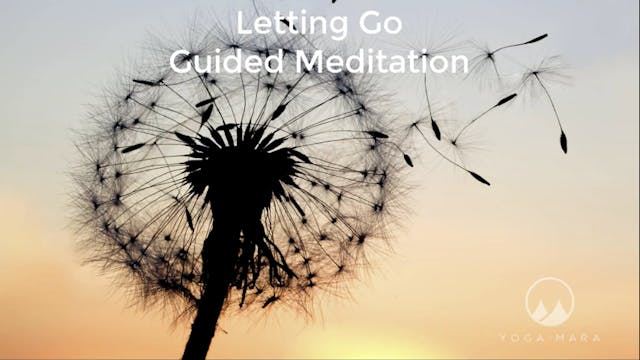 Visualisation for Letting Go