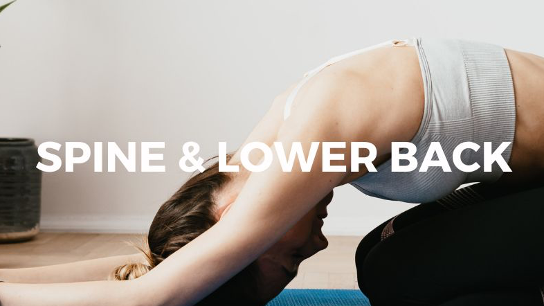 Spine & Lower Back