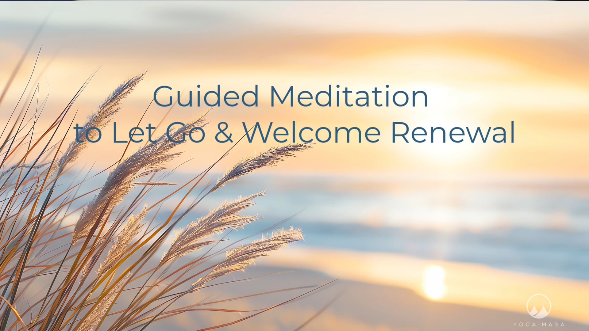 NEW Meditation for Letting Go & Renewal
