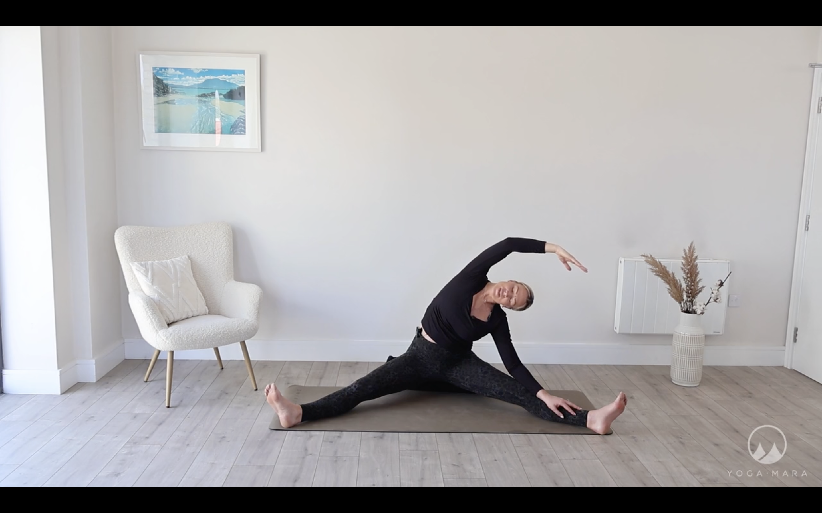 Pregnancy Flow for all Trimesters 