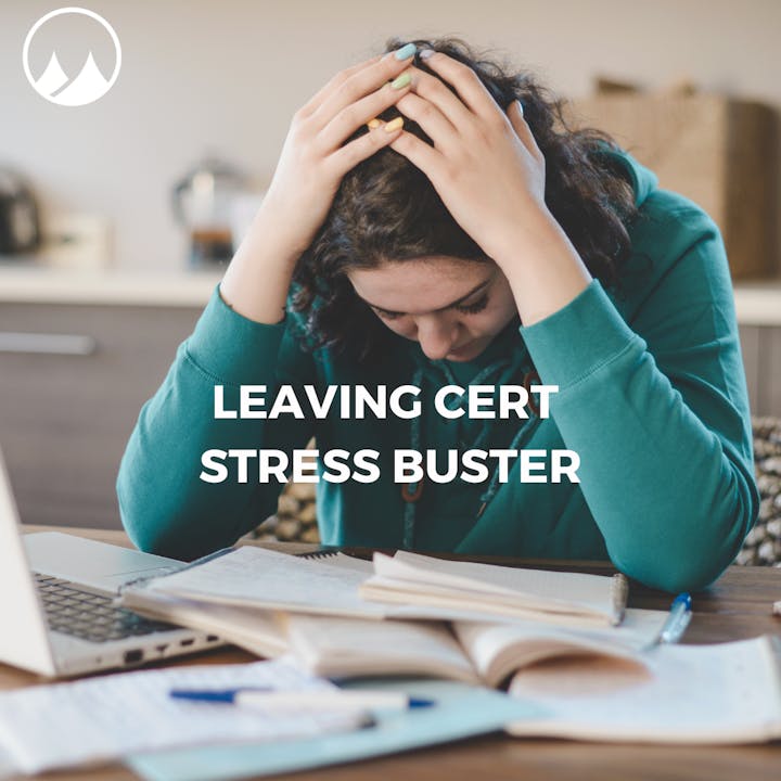 FREE Leaving Cert Stress Release: Use code "LEAVE"