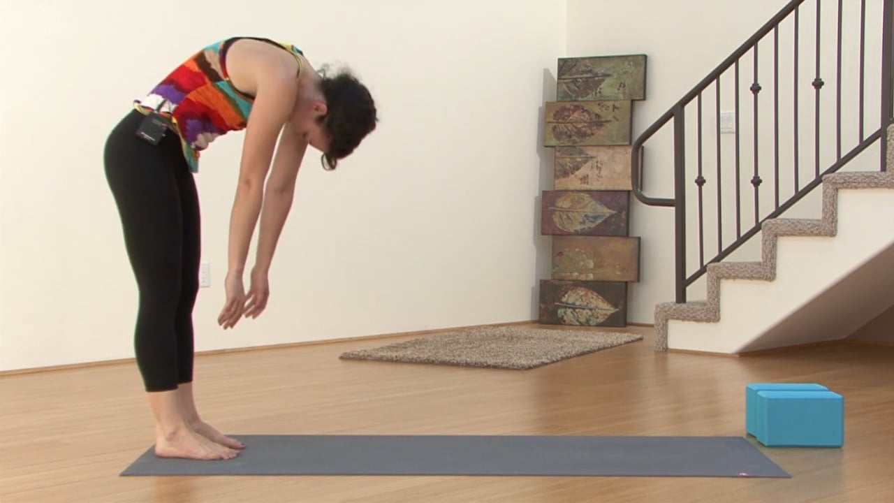 Melissa's Beginner Wake Up Flow