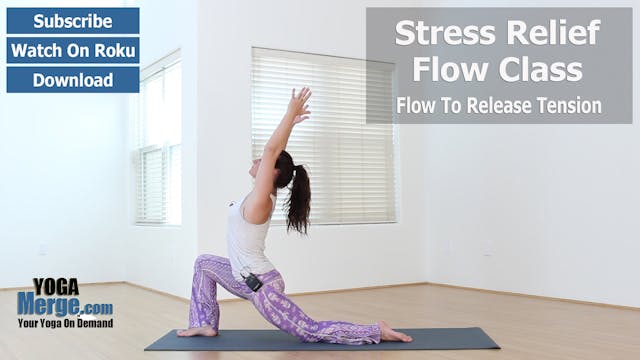 Jen's Fundamentals & Stress Relief