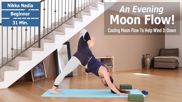Cool Evening Moon Flow Preview