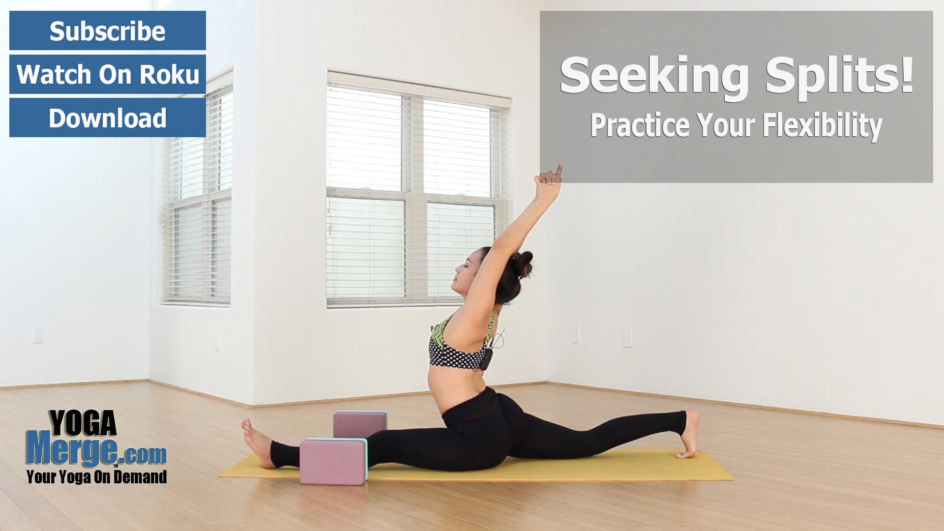 Priscilla's Seeking Splits