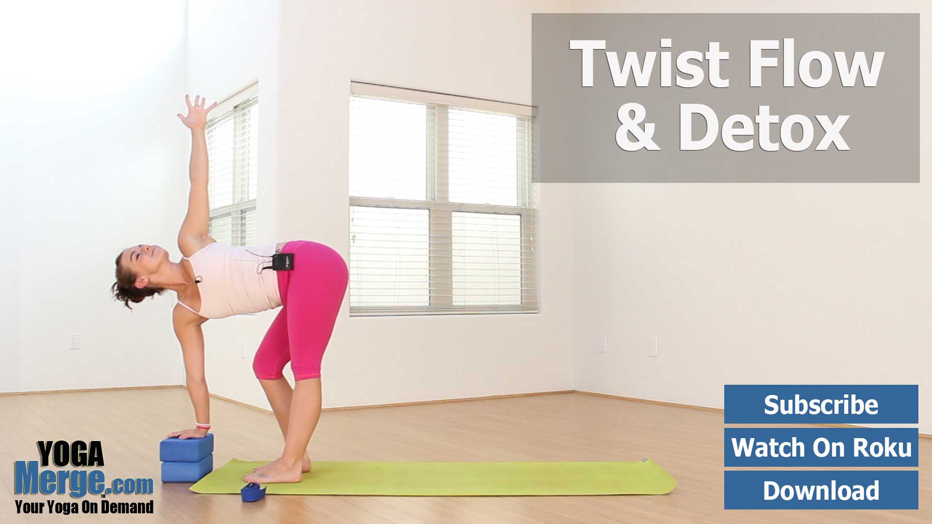 Nikka's Twist Flow & Detox