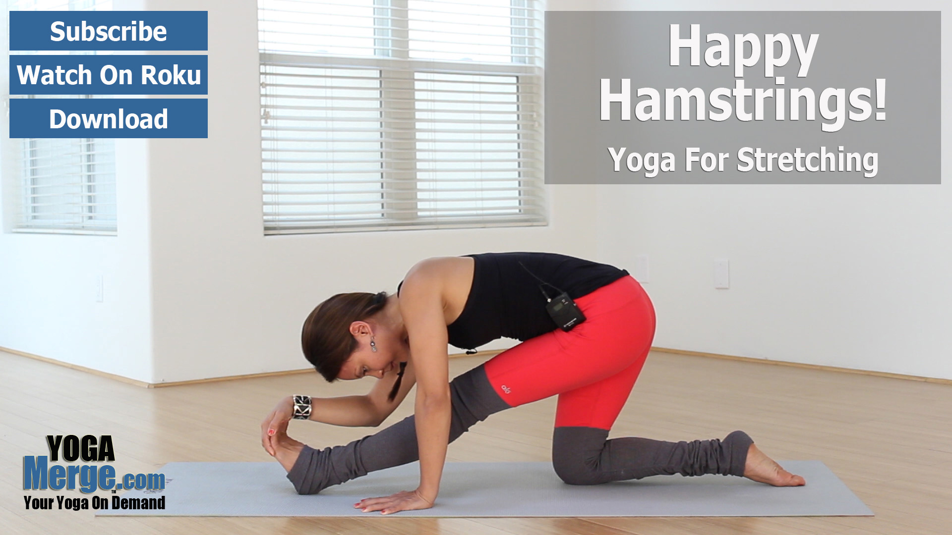 Drinie's Happy Hamstrings