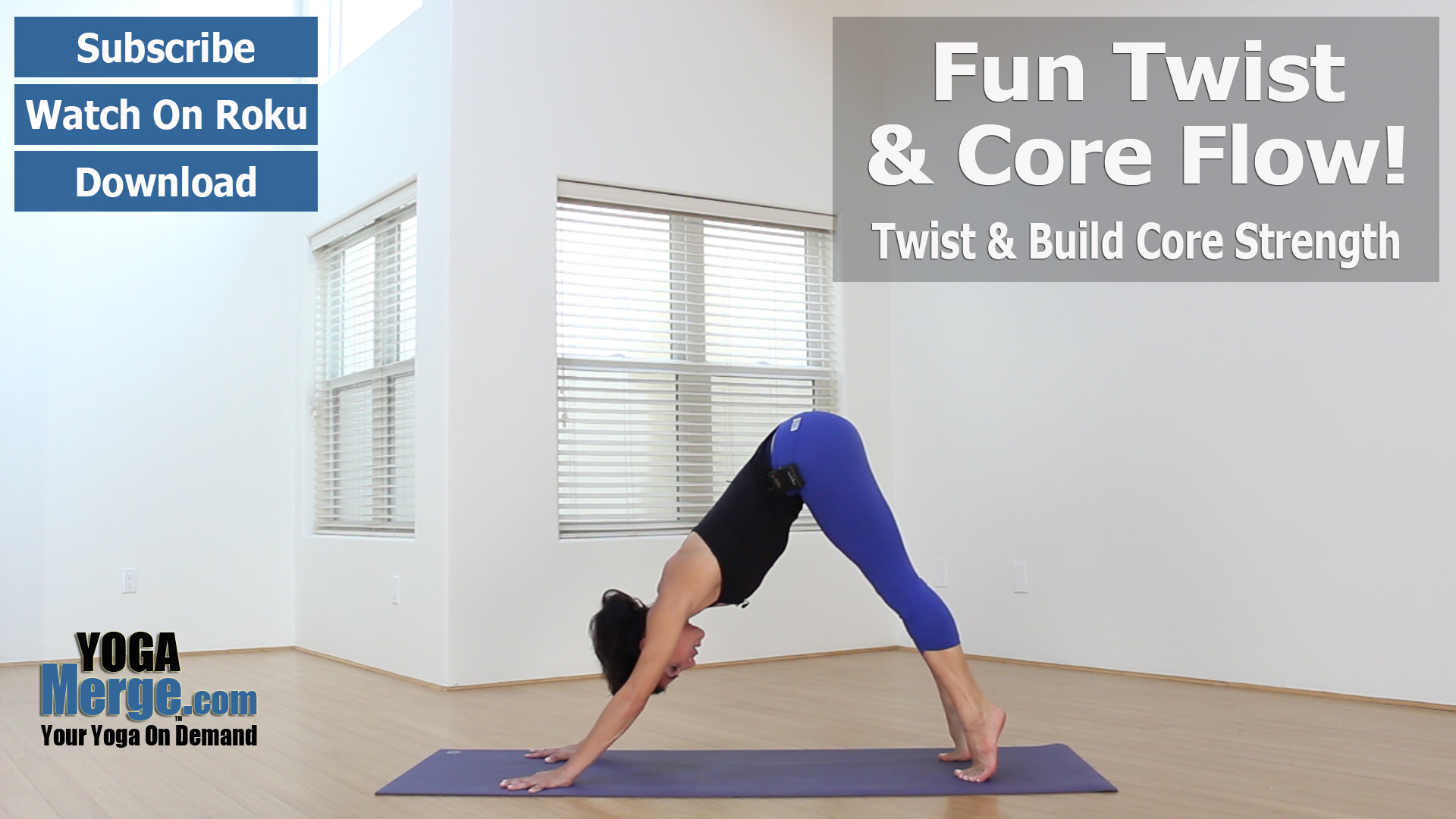 Dana's Fun Twists & Core