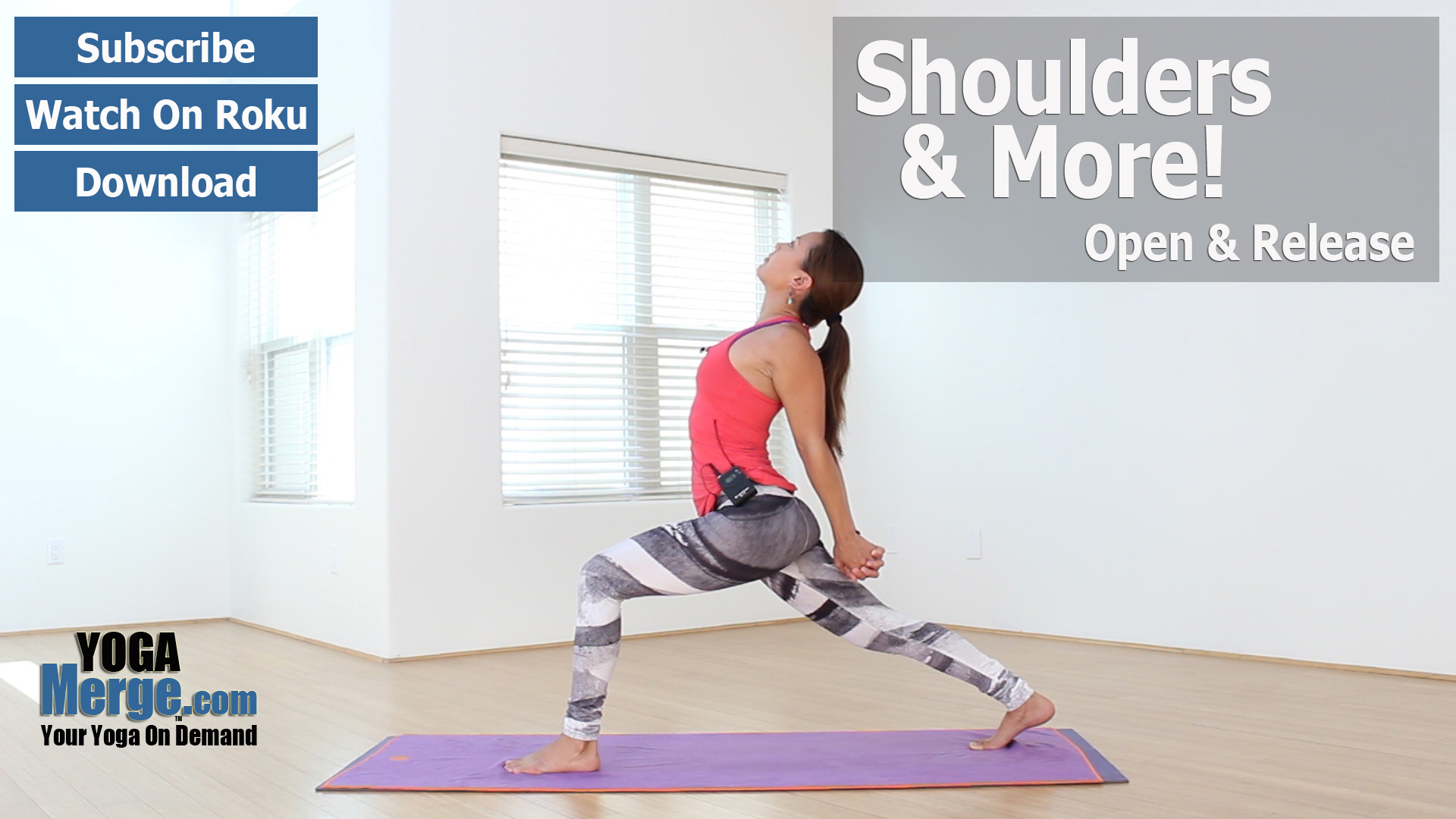 Drinie's Shoulders & Core Flow