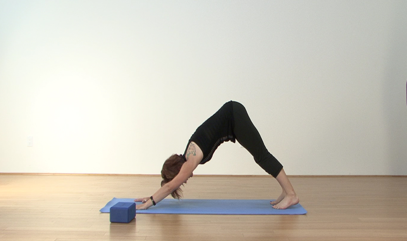 Carleen's Beginner Flow