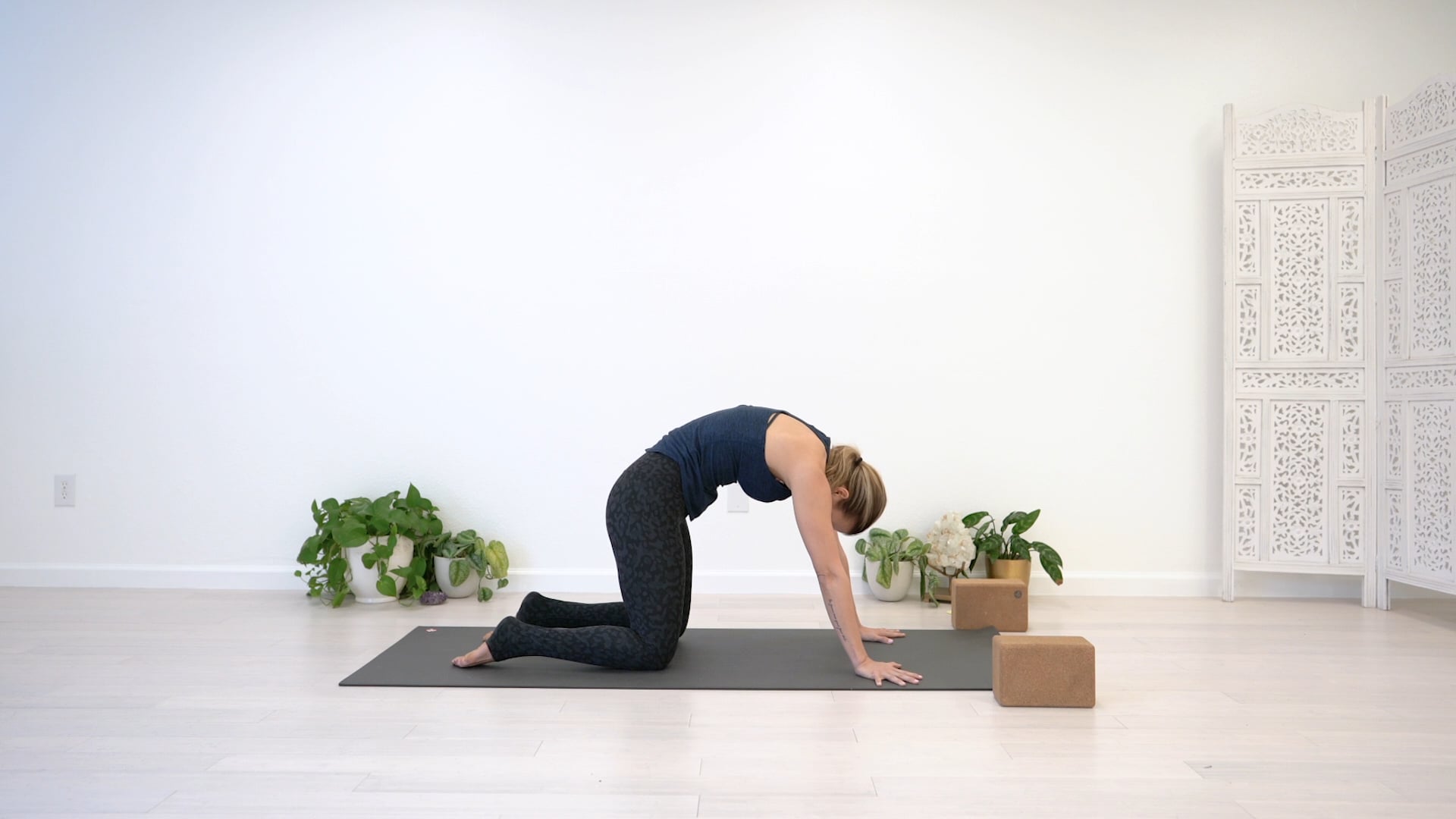 Twist it Out Vinyasa