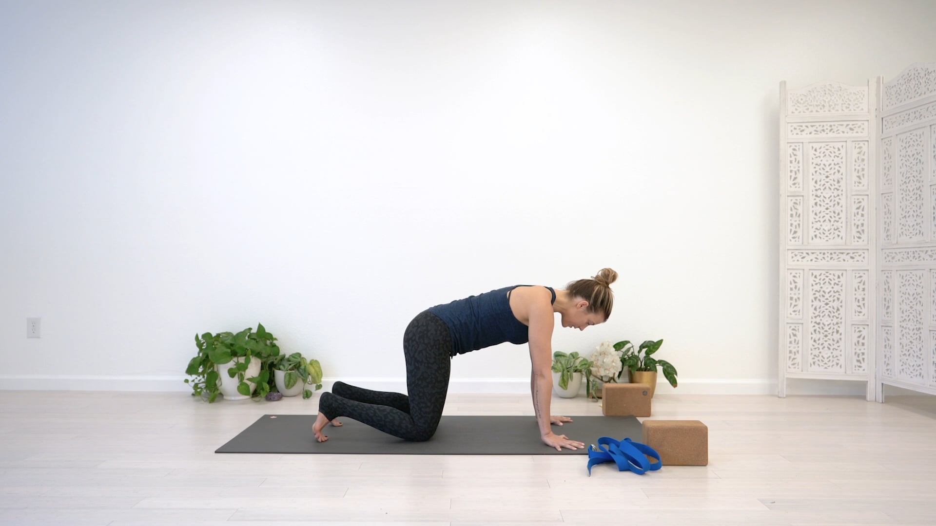 Shoulder Mobility Arm Balance Vinyasa