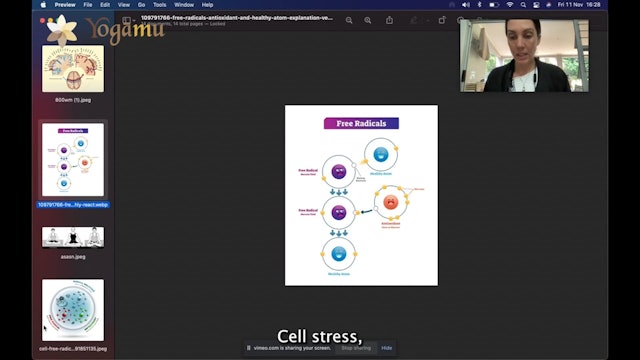 Cell Stress