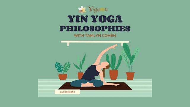 Yin Yoga Philosophies