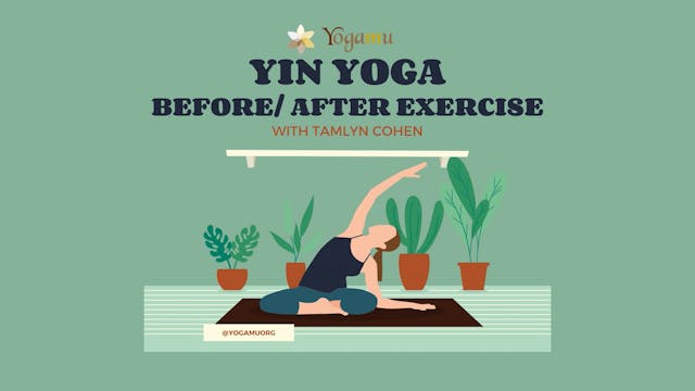 Yin Before & After Exercise