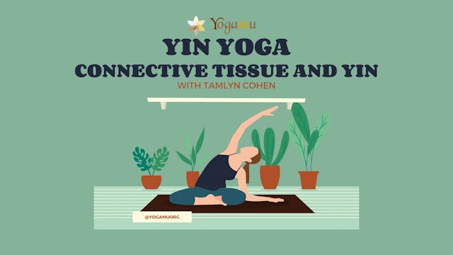 Yin & Connective Tissue