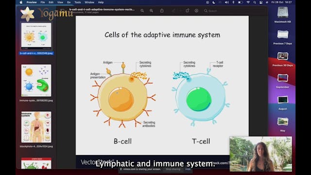 Lymphatic System