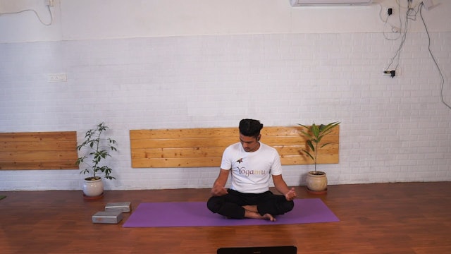 Hatha Yoga Class By Ajay
