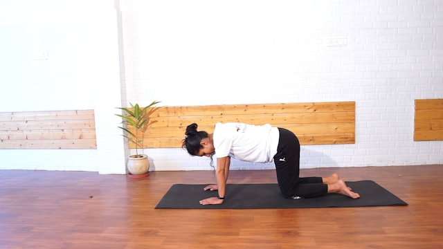 Yoga For Core And Spine Twist Part 2