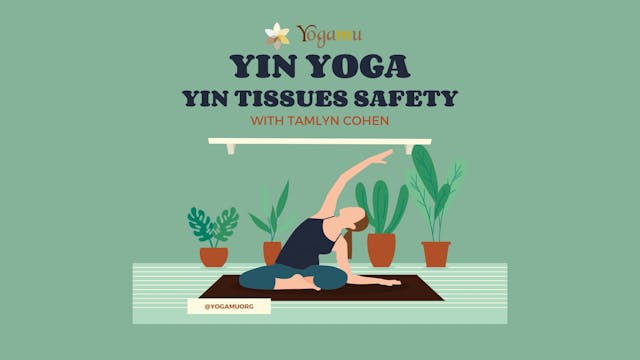 Yin Tissues Safety