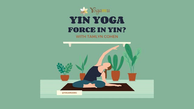 Force In Yin