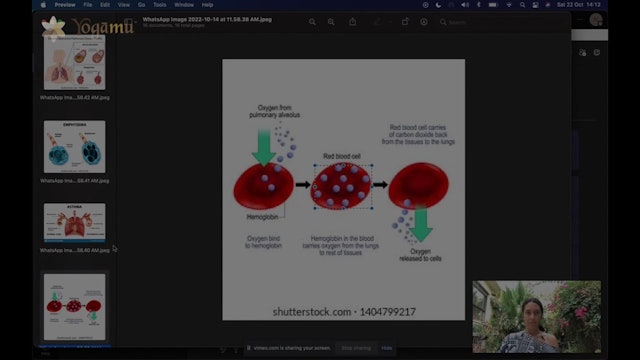 Why We Breathe & Glycolysis