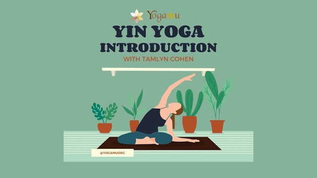 Yin Yoga Introduction