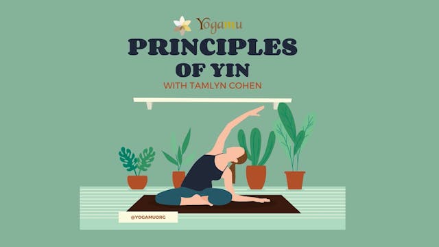Principles Of Yin