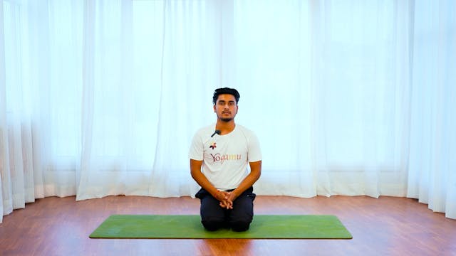 Yoga For Arm Balance
