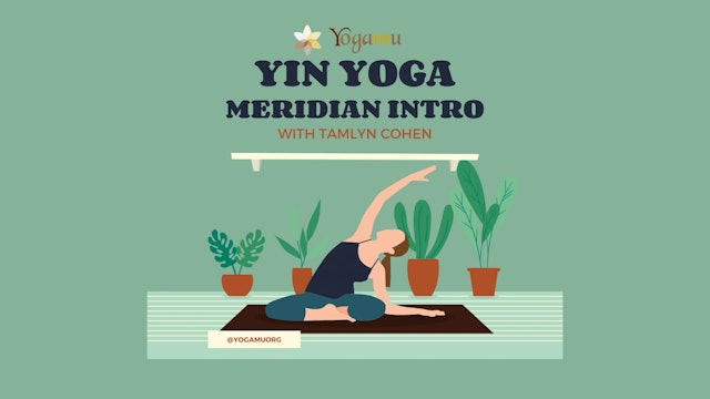 Meridian Intro Yin Yoga