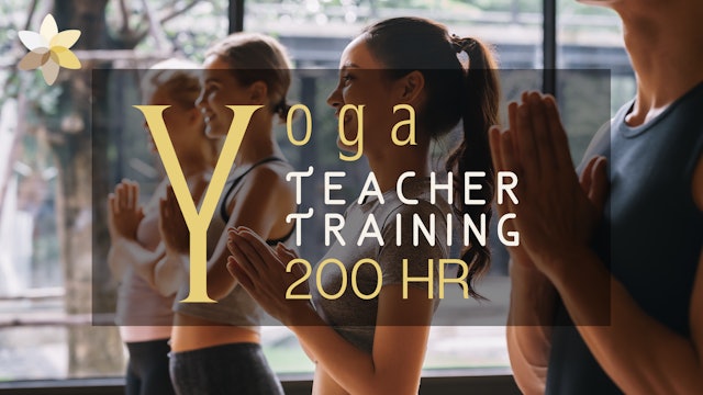 Yoga Teacher Training 200 HR
