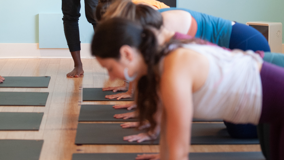 Asana 101: Chaturanga