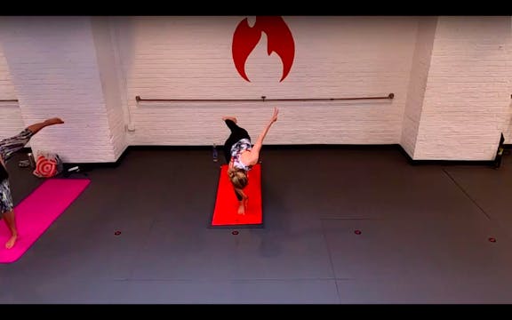 Lauren Restore & Bird of Paradise Flo...