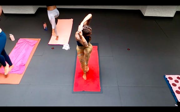 Kat Flying Ninja Zero Expectations, J...