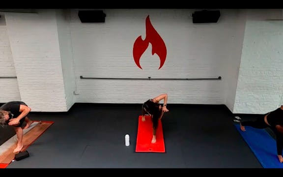 Jen Ham Hot Diggity Dog Core & Balanc...