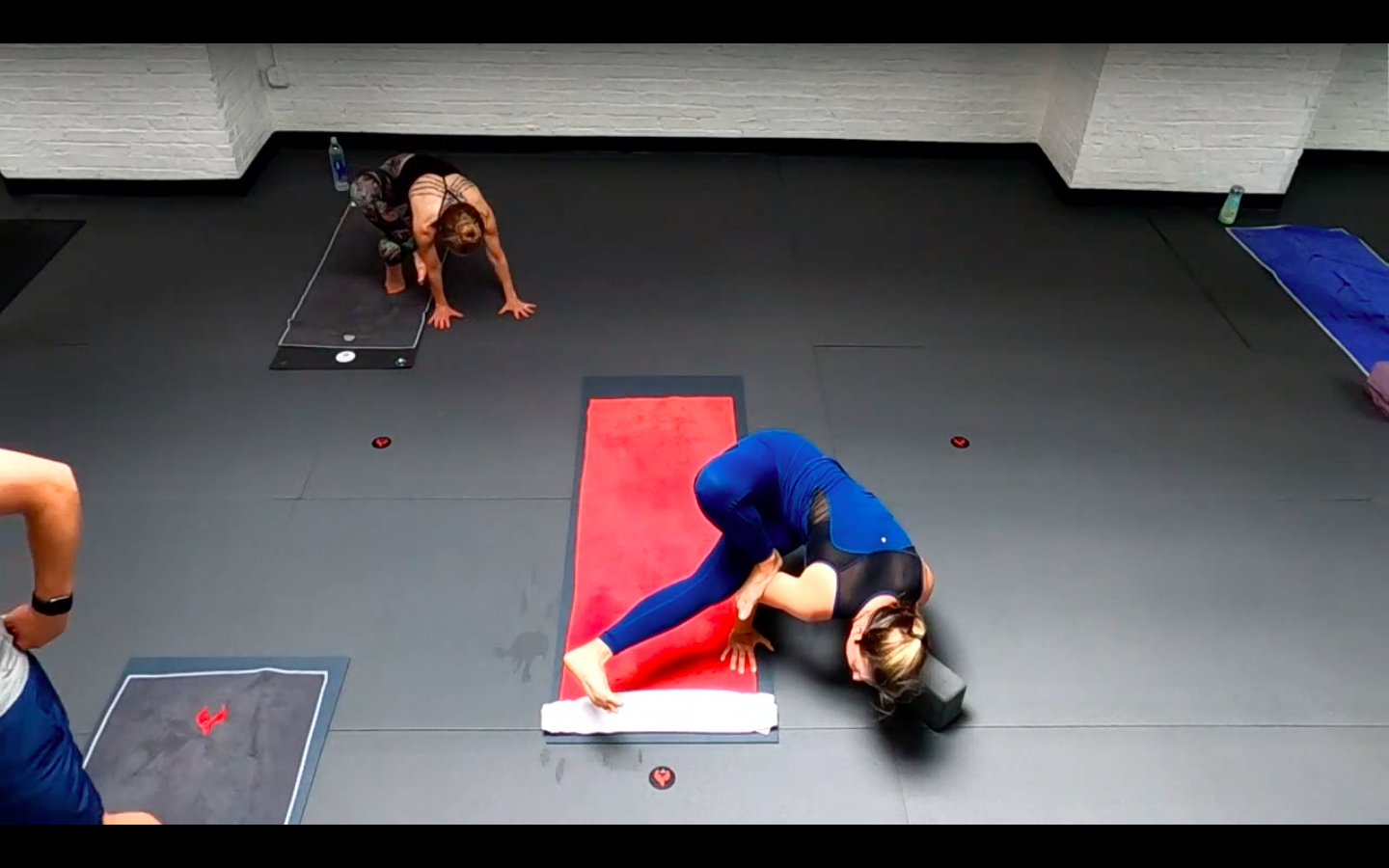 Lexy Union of Opposites Peacock Flow - Thu 6/10 