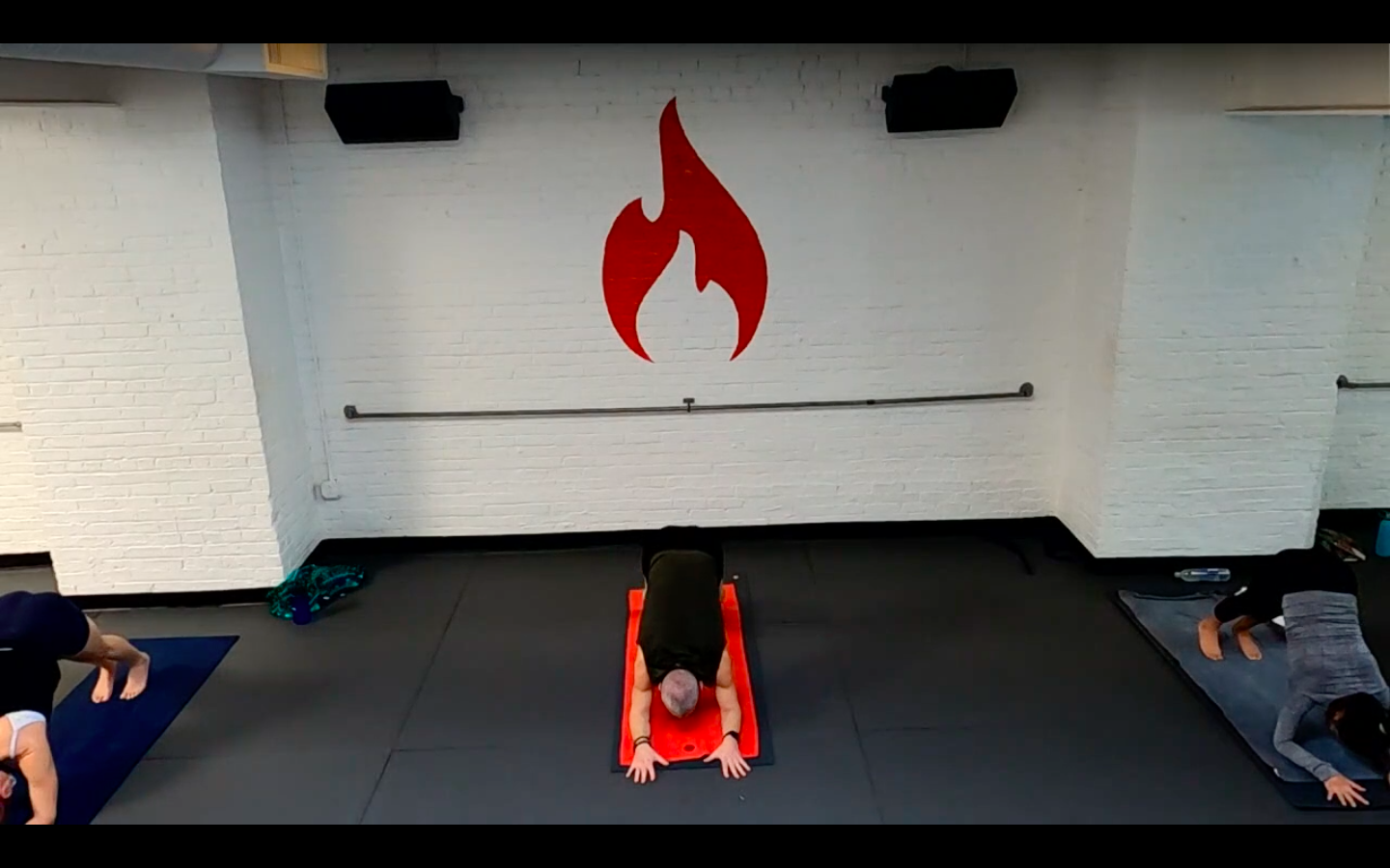 Reed Root and Rebound Flow - Sun 1/10 