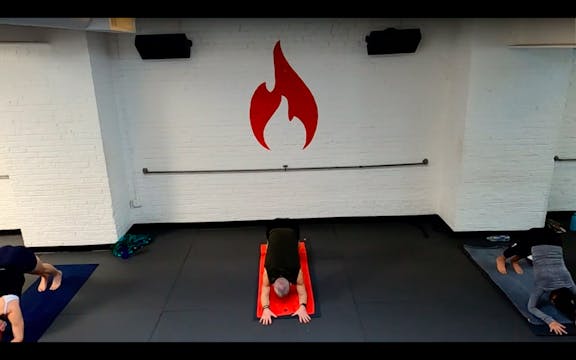 Reed Root and Rebound Flow - Sun 1/10