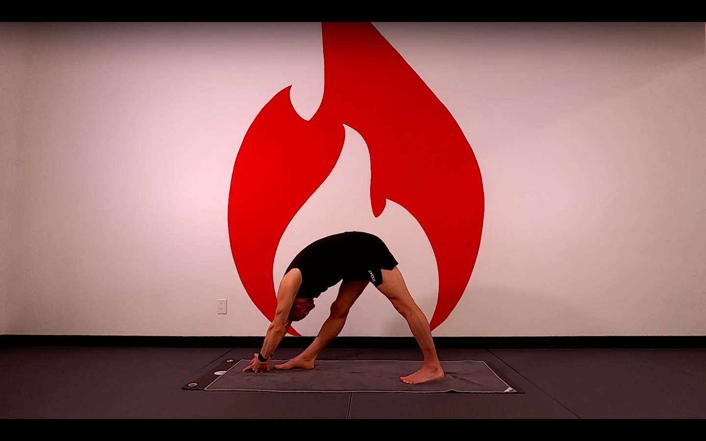 Reed Spark26 90 Minute Flow