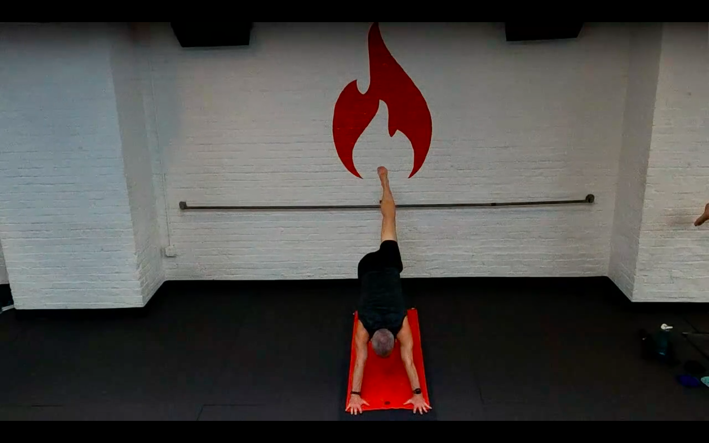 Reed Bird of Paradise Flow - Sun 12/13