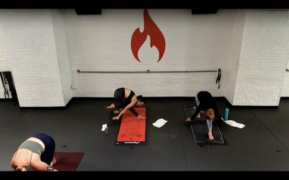 Arianna hamstrings, quads & core, Hum...