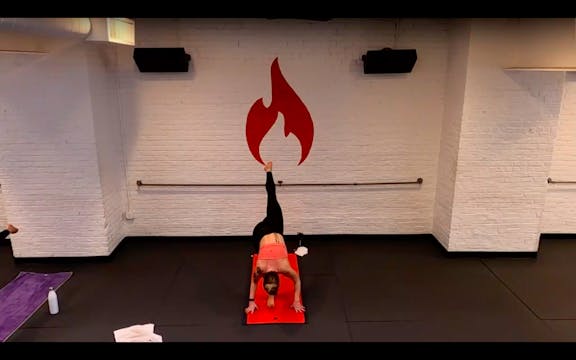 Hannah Expansion / Contraction Back o...