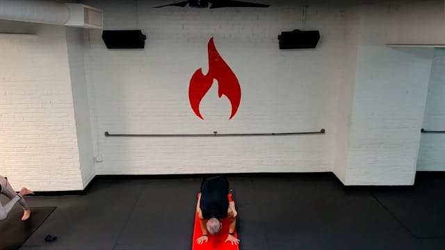 Reed Arm Balance Happy Flow - Wed 1/20 