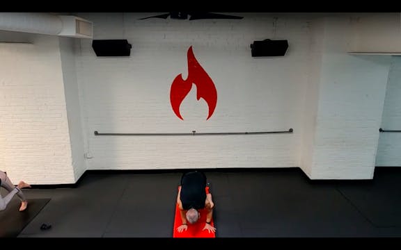 Reed Arm Balance Happy Flow - Wed 1/20 