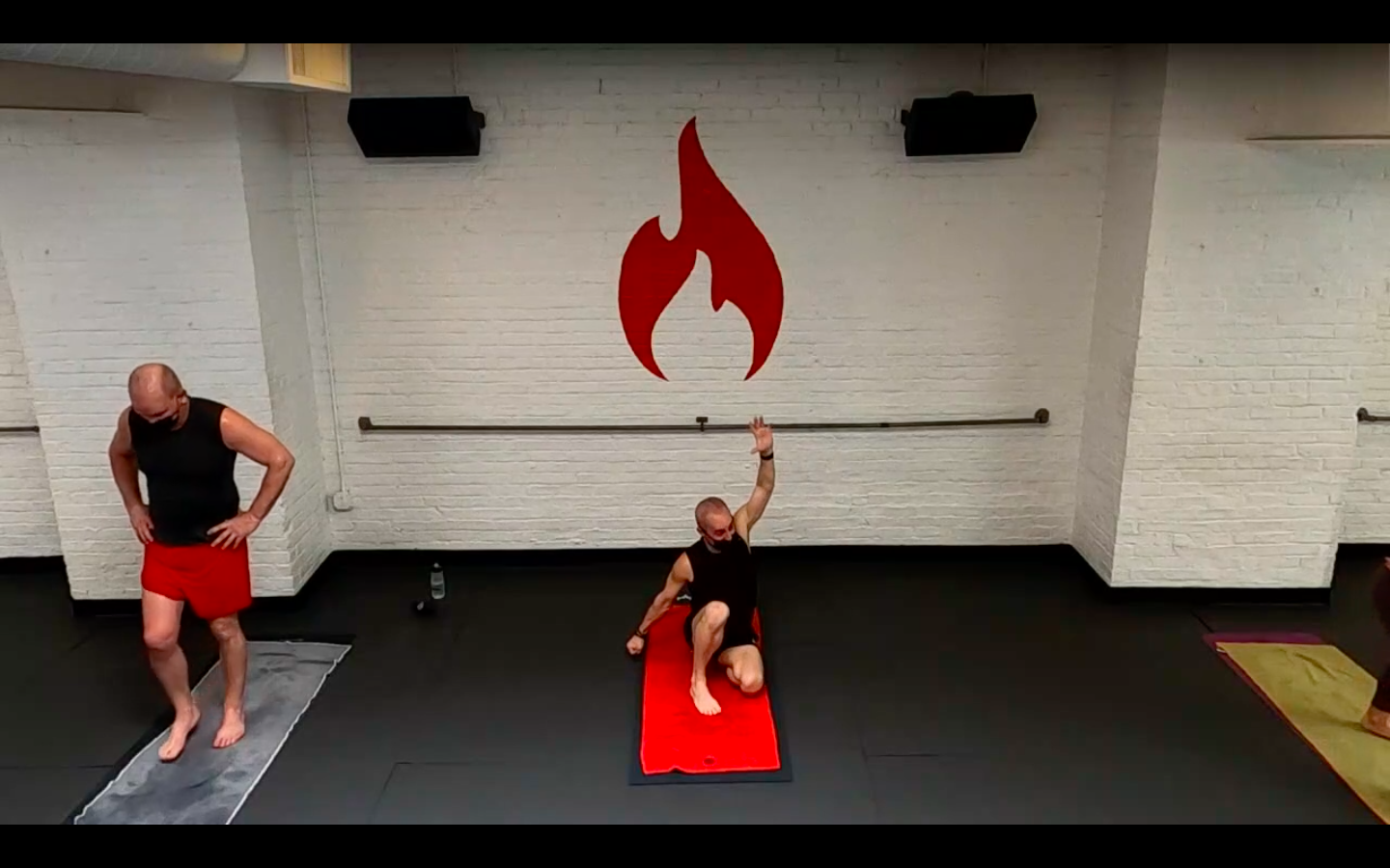 Reed Test Your Balance Inverted Bird of Paradise Flow - Sun 2/28