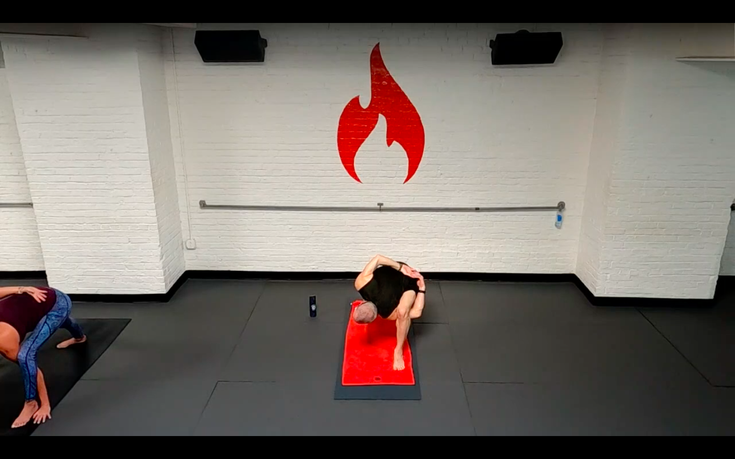 Reed Balancing Inverted Bird of Paradise Flow - Wed 2/24 