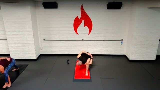 Reed Balancing Inverted Bird of Parad...